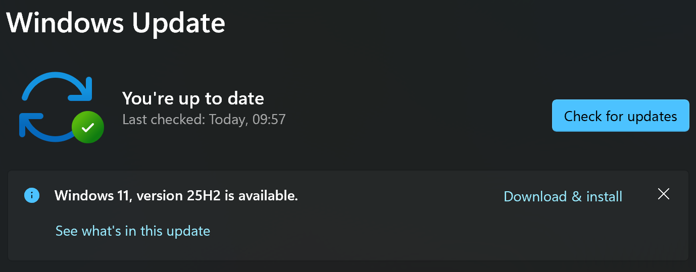 Windows 11 25H2 Release Preview: What you need to know